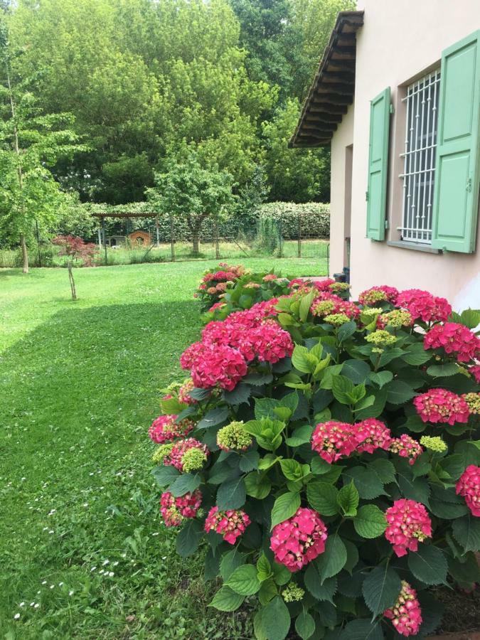Villa Favilli Pise Extérieur photo